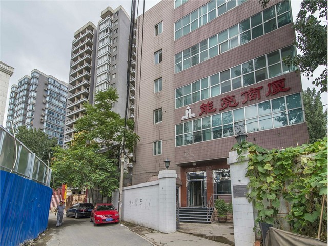 普陀区花卉批发价格